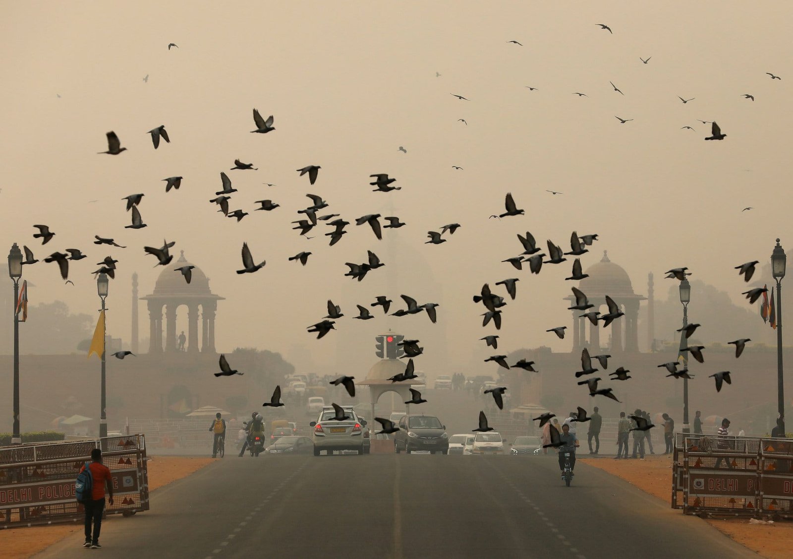 Delhi Dispatch: From Air Pollution Crisis To Fire Accidents, All The Latest Updates