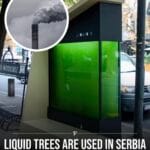 Liquid tree