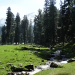 Bangladesh in India