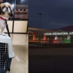 Pet-Kochi-Airport