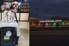Kochi Airport Makes History as Kerala’s First to Facilitate International Pet Travel