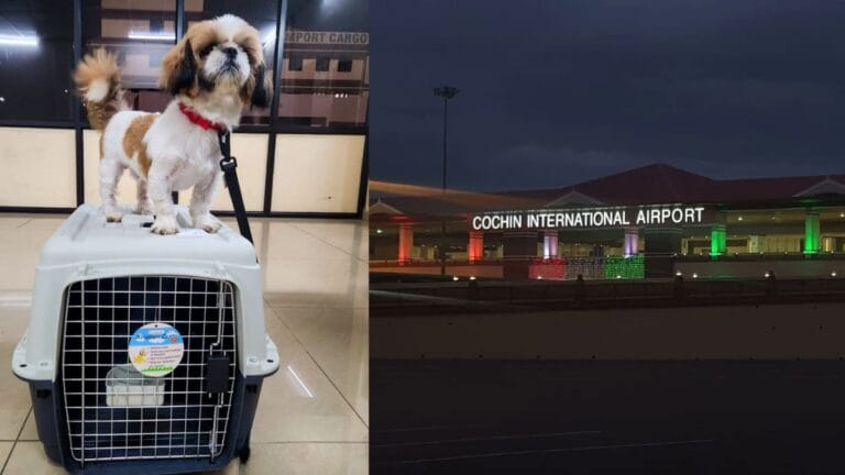 Pet-Kochi-Airport